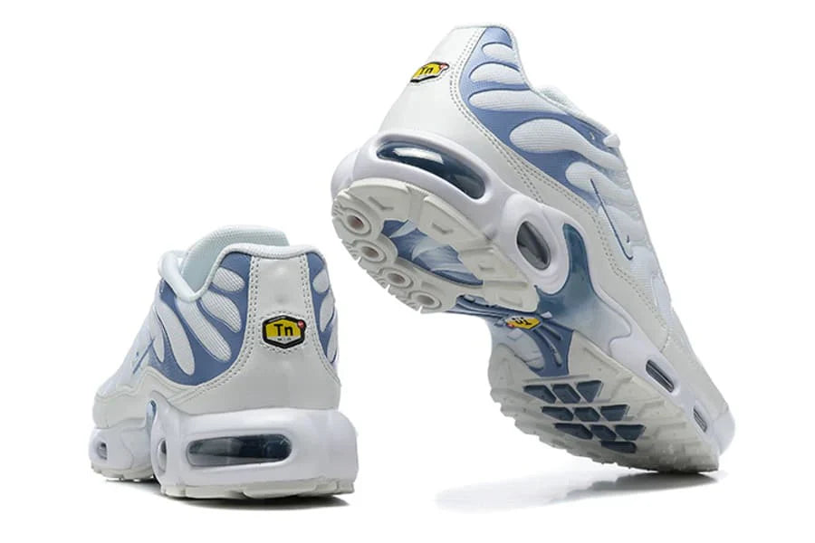 AIR MAX PLUS TN 1 '' Ashen Slate ''