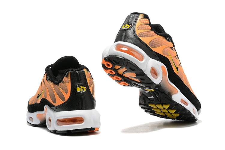 AIR MAX PLUS TN 1 '' Boasts Big ''