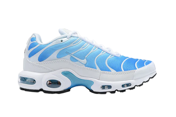 AIR MAX PLUS TN 1 '' Battle Blue ''