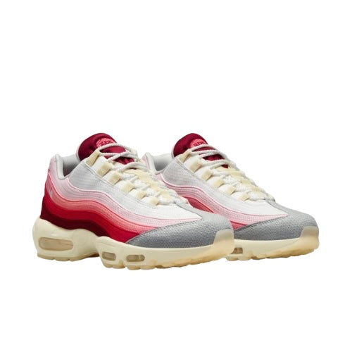 AIR MAX 95 '' Anatomy Of Air ''