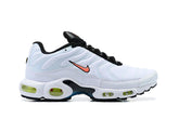 AIR MAX PLUS TN 1 '' Nerf ''