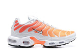 AIR MAX PLUS TN 1 '' White Sunrise ''