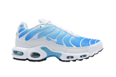 AIR MAX PLUS TN 1 '' Battle Blue ''