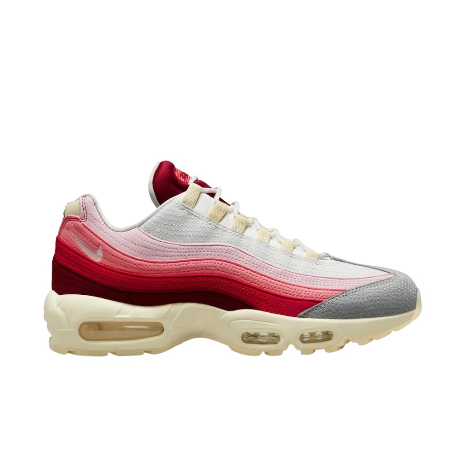 AIR MAX 95 '' Anatomy Of Air ''