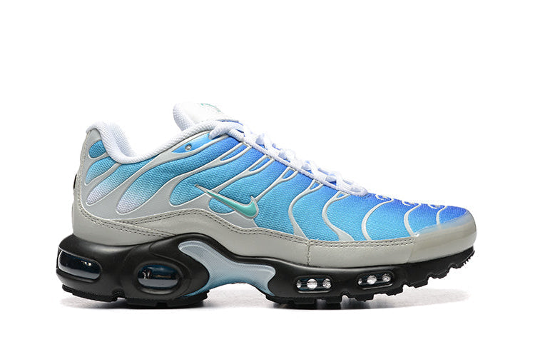 AIR MAX PLUS TN 1 '' On Block Down Light ''